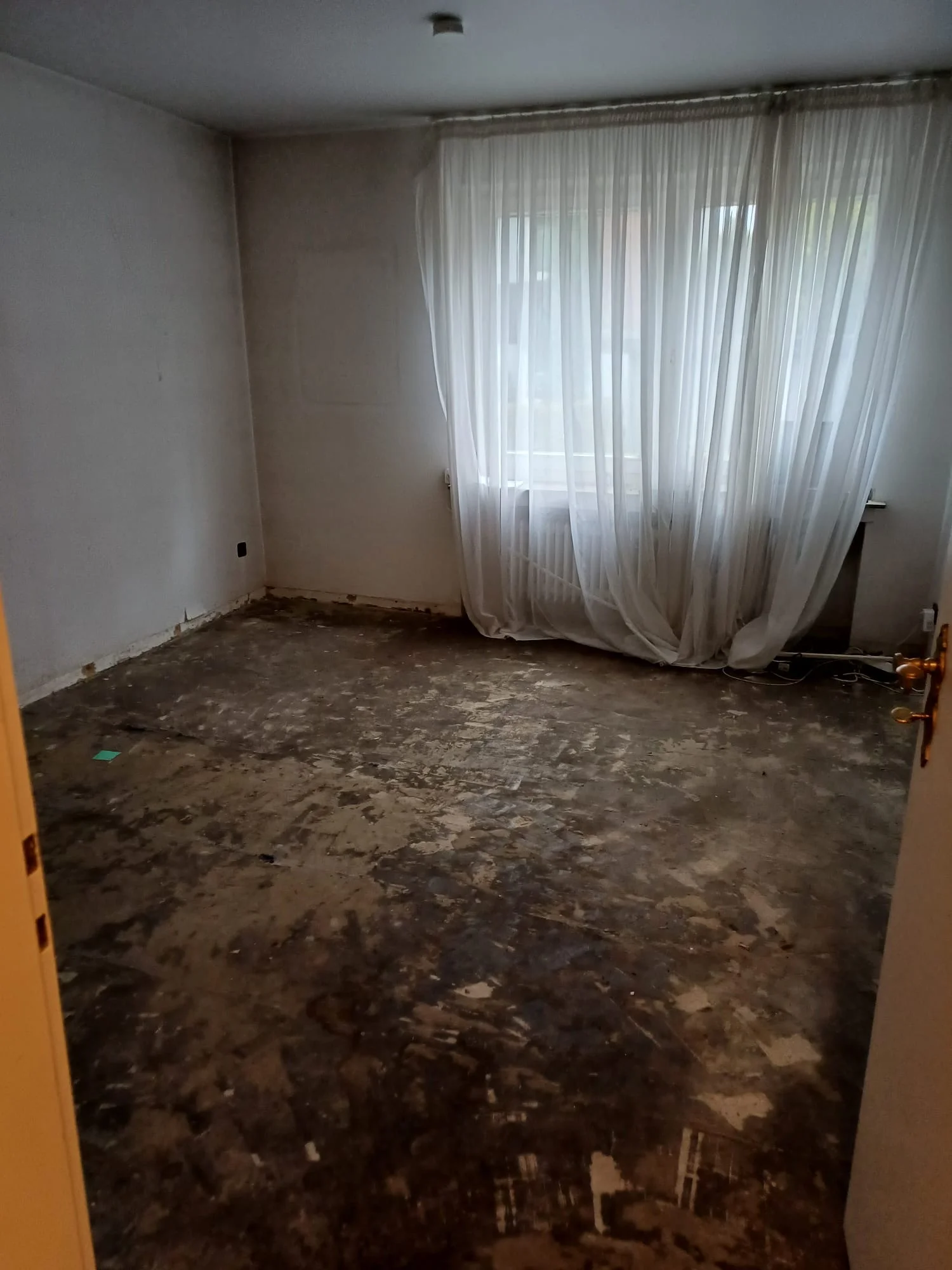Before image